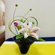 Jing Si Flower Arrangement Experiment (Sat) 2-4PM 靜思花道體驗班(週六)下午2-4點